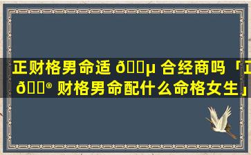 正财格男命适 🌵 合经商吗「正 💮 财格男命配什么命格女生」